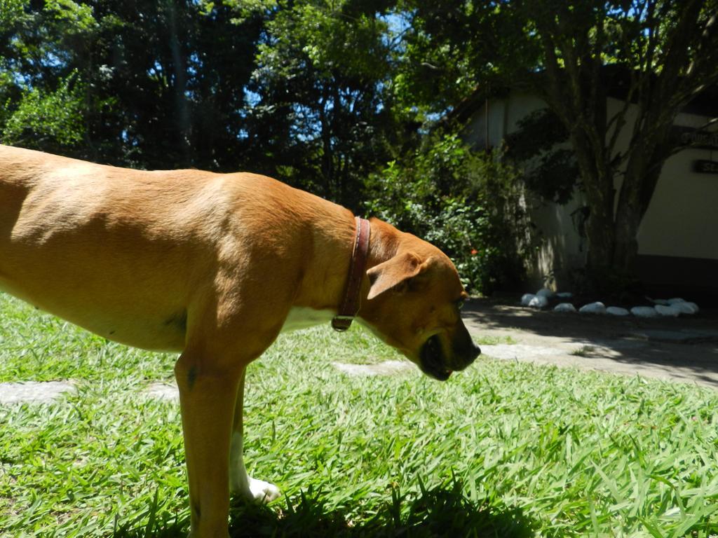 Pousada Ype Amarelo Itatiaia  Exteriér fotografie